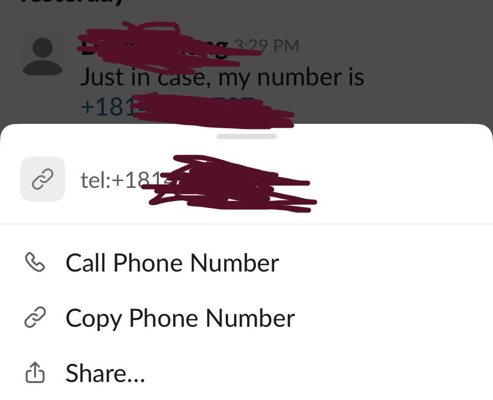 Picture of part of iOS screen showing lack of text option