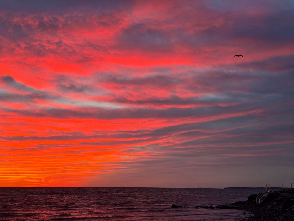 Red clouds sunrise over the shore 