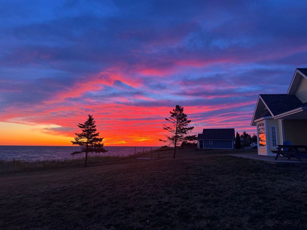 Sunrise over the shore with trees and a cottage