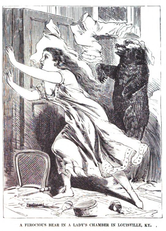 A historic newspaper illustration of a young woman in nightgown running from a bear which has had her nightclothes thrown onto it