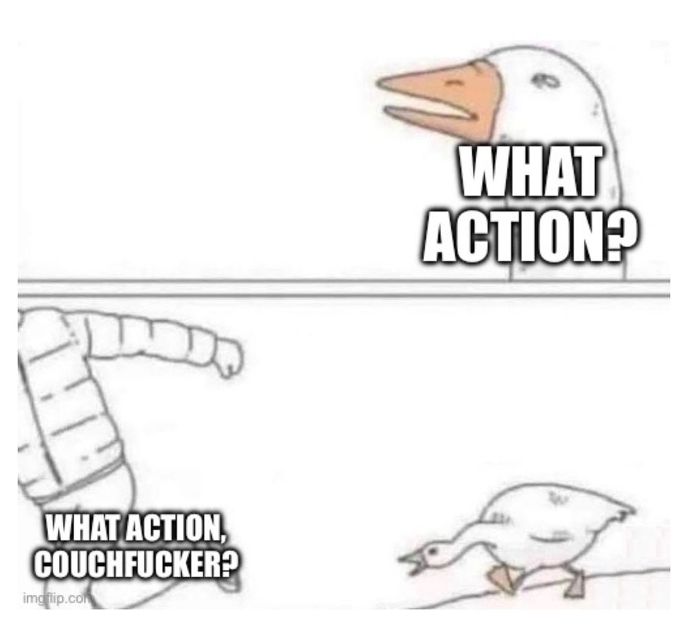 Goose meme: What action? What action, couchfucker?