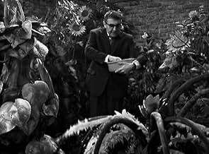 A screenshot from the 1965 ‘Out of the Unknown’ episode ‘Come Buttercup, Come Daisy, Come…?’ showing Milo O’Shea as Henry Wilkes, who is here seen tending a garden that is rapidly becoming overgrown with an alien variety of carnivorous plants.