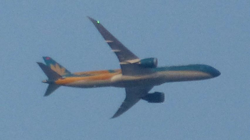 A blue and yellow Dreamliner with a yellow flower on the tail roughly 15,000’ overhead 