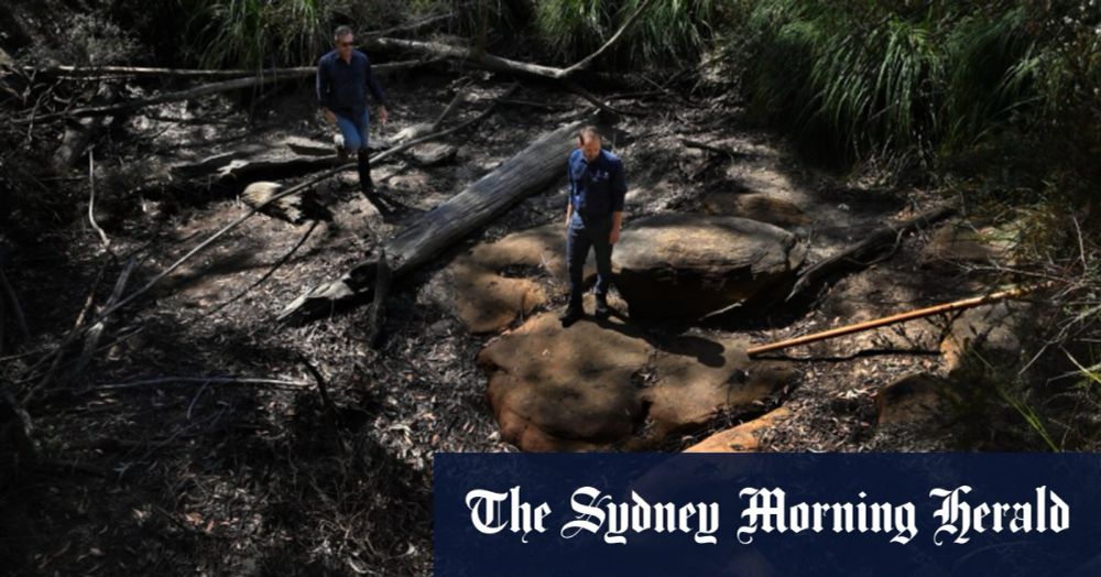 Once healthy creeks in the Sydney catchment have become dead zones. Now scientists know why