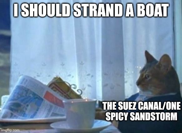 The "I should buy a boat cat" meme format 

The caption at the top reads "I should strand a boat"

The cat is labeled as "the Suez Canal / one spicy sandstorm" 