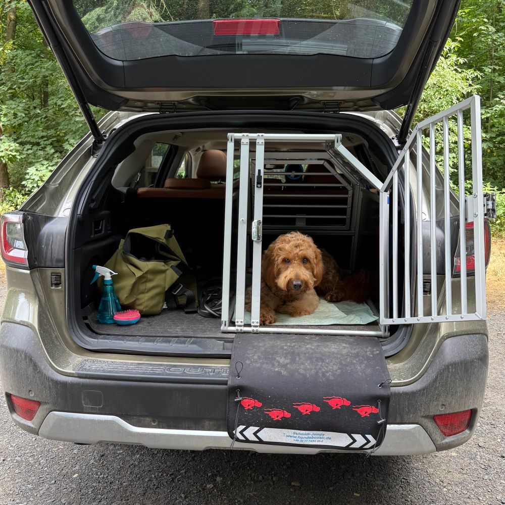 Goldendoodle in Hundebox im Auto, daneben Tangle Teezer in Pink/Hellblau.