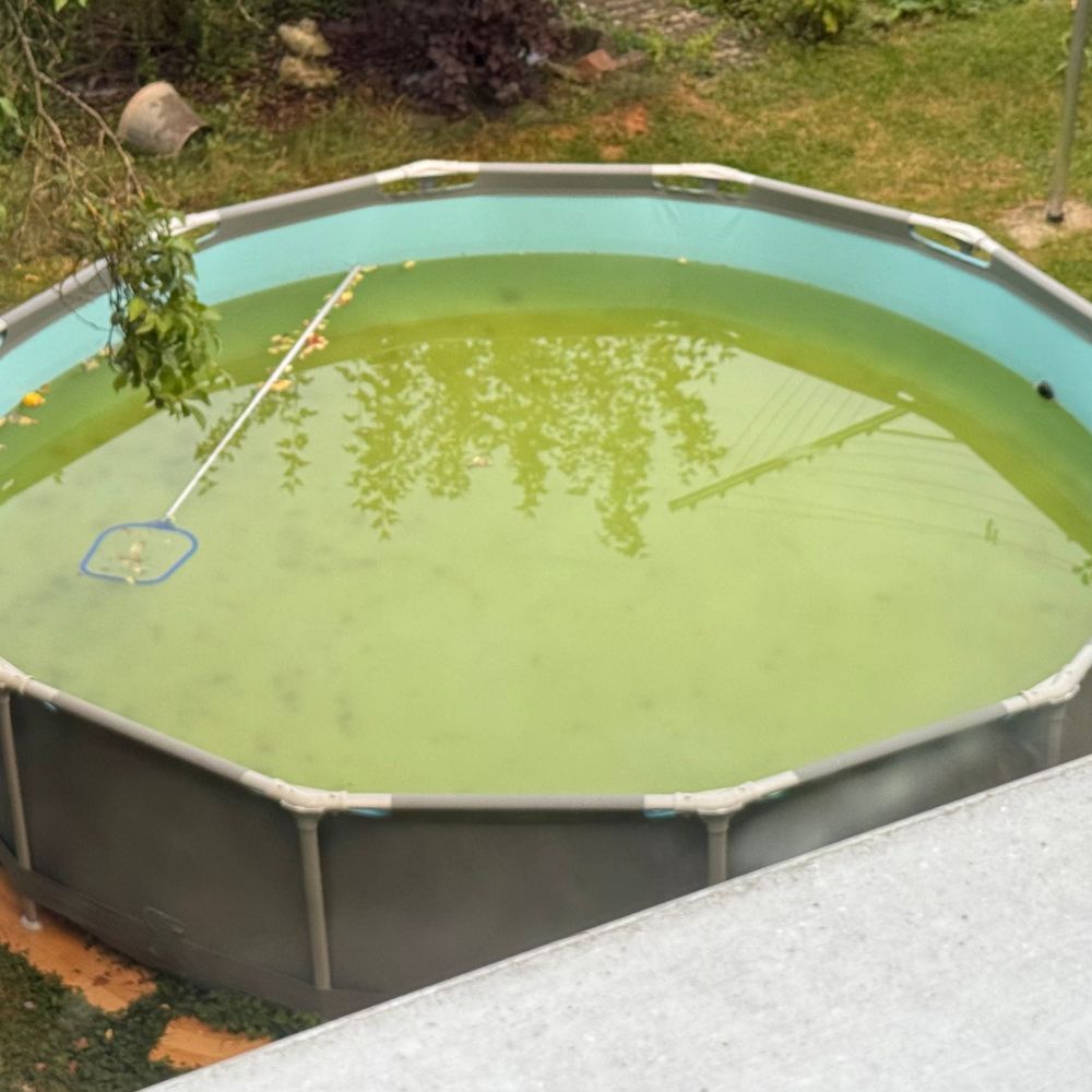 Bealgter Pool.