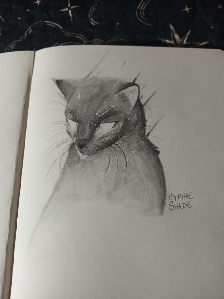 A black cat sketch with stars on its head. Inspired by artworks by Apofiss.
