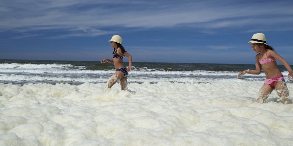 Umweltverschmutzung an der Nordsee: Chemikalien-Alarm am Strand