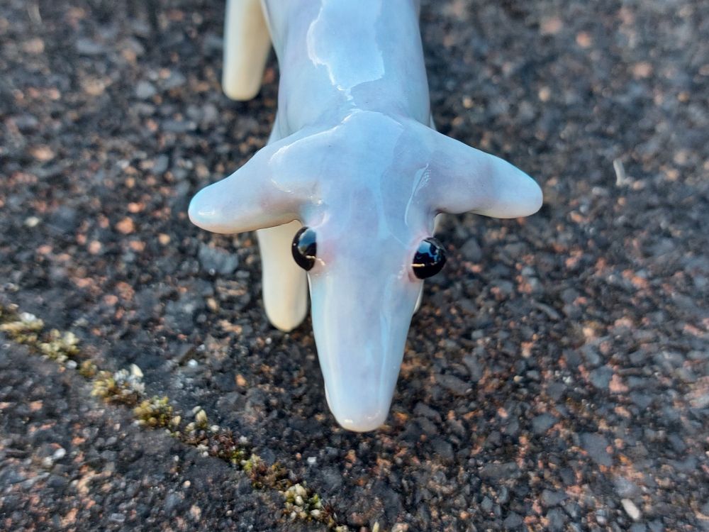 the head of the same ceramic creature shown from above. in this photo, you can see that its shiny black eyes are positioned on the sides of its head and bulge out considerably.