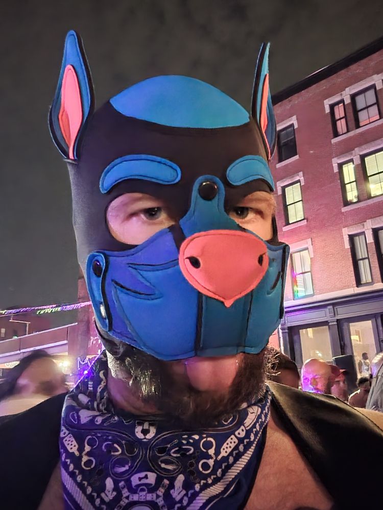 A man with a beard wearing a blue pup hood with pink nose and ears and a blue bandana on their neck 