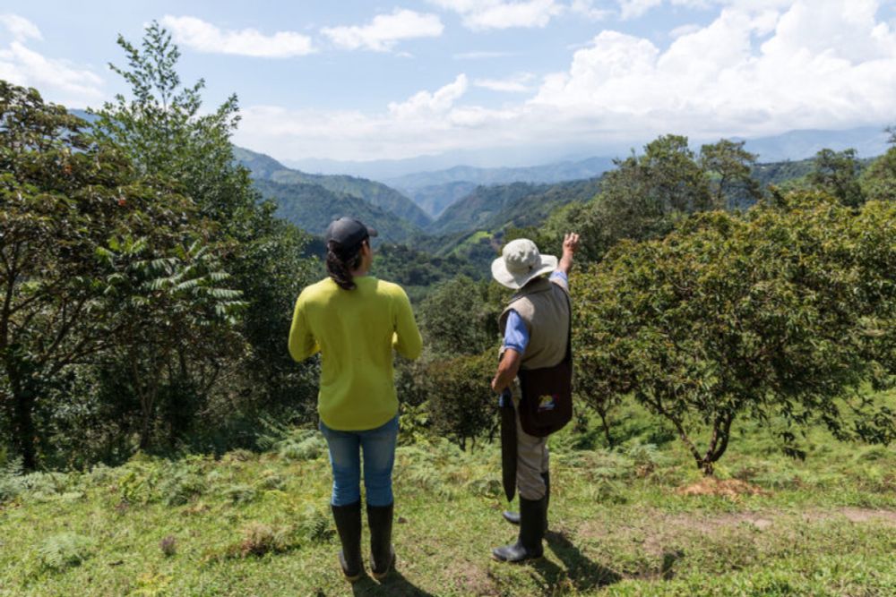 Ecuador court upholds ‘rights of nature,’ blocks Intag Valley copper mine