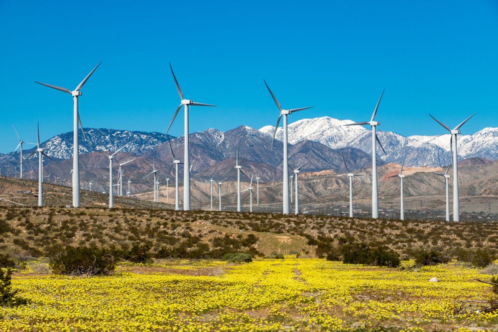 San Gorgonio pass windfarm, California - windmills with snow covered mountain behind 