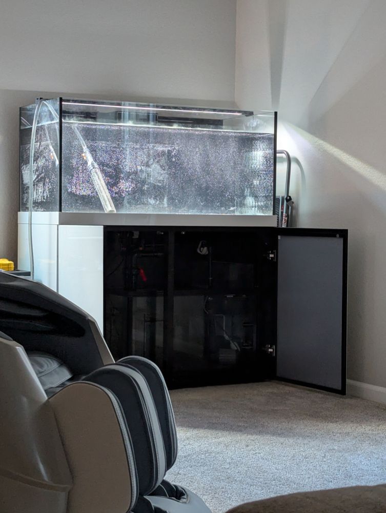 A rectangular Pro Star 150 aquarium sits on a modern white stand. The tank is illuminated and contains cloudy water with many small bubbles. A hose is draped over the side of the tank. The cabinet doors on the stand are open, revealing the equipment inside, including a sump and plumbing. The room has light-colored walls and is carpeted. In the foreground, part of a gray and white massage chair is visible.
