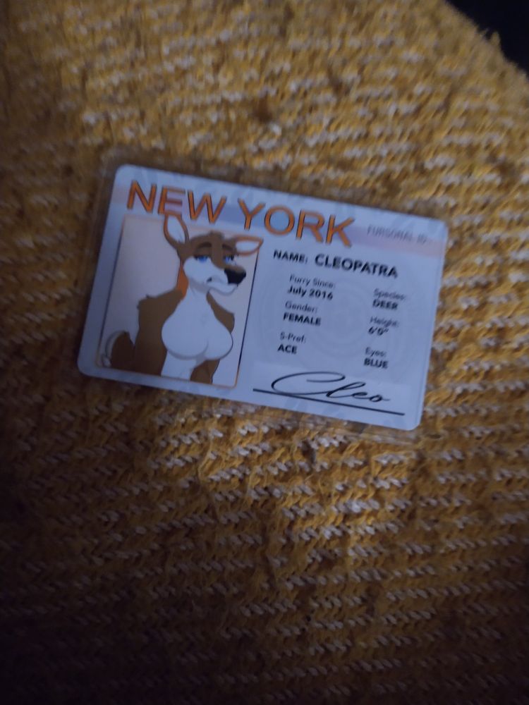 A blurry picture of a furry ID for Cleo the deer made by IdentiFUR