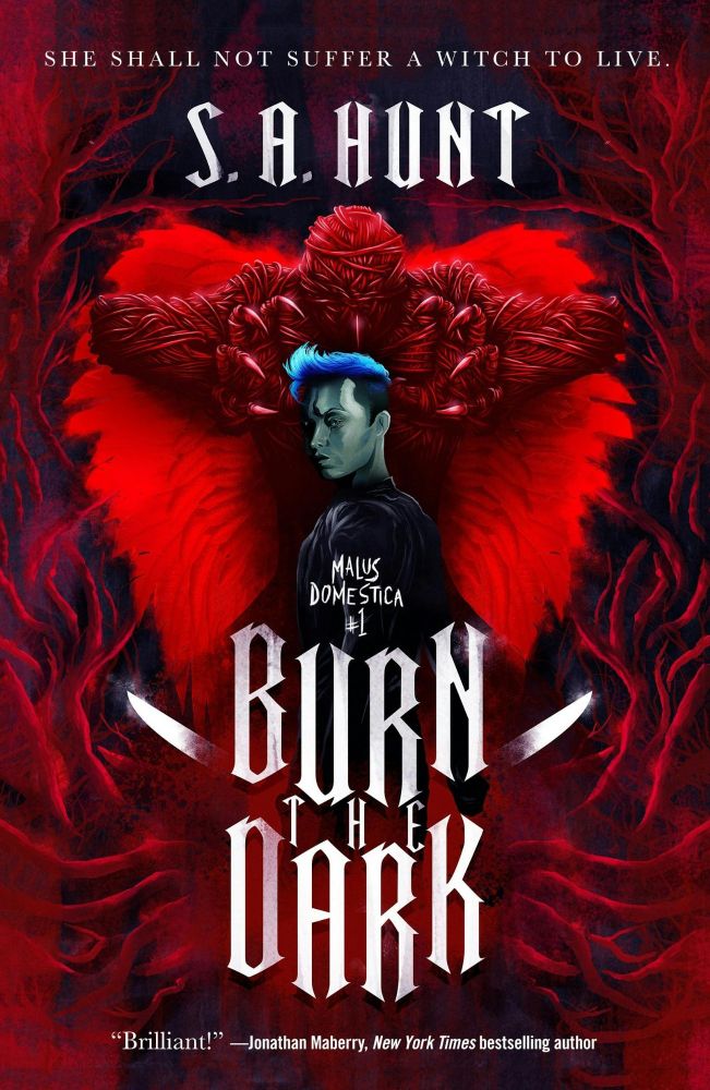 The cover art for BURN THE DARK: MALUS DOMESTICA #1, a blue-haired punk girl is menaced by a strange, winged demon thing.
