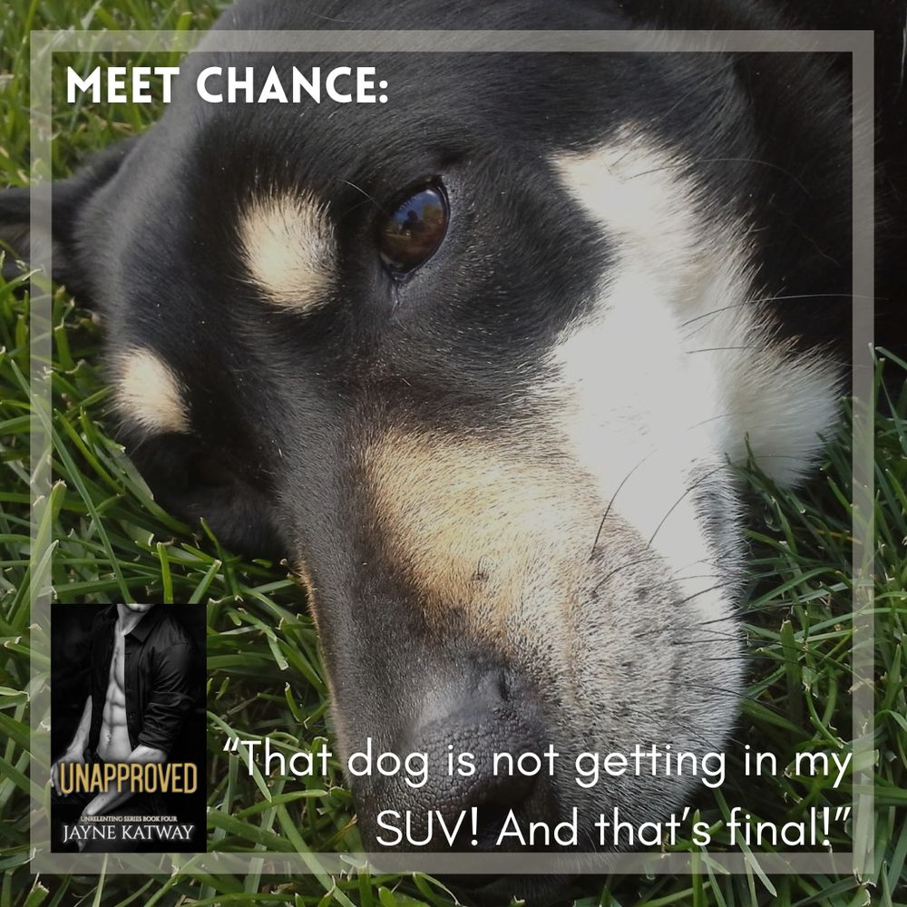 Picture of a dog with a quote from a book