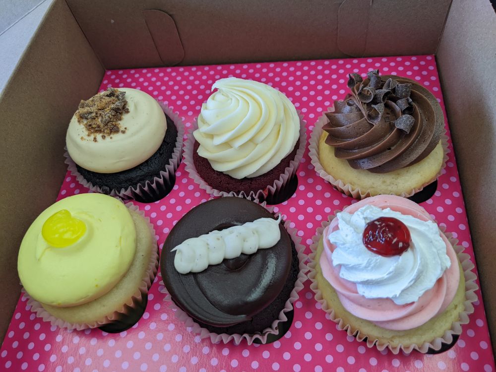 A picture of 6 cupcakes inside a box.