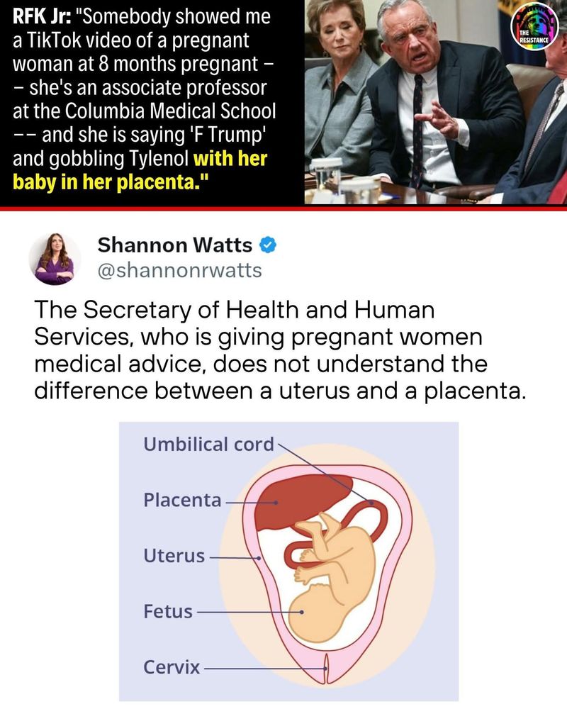 THE RESISTANCE

RFK Jr: "Somebody showed me a TikTok video of a pregnant woman at 8 months pregnant she's an associate professor at the Columbia Medical School and she is saying 'F Trump' and gobbling Tylenol with her baby in her placenta."

Response by
Shannon Watts

@shannonrwatts

The Secretary of Health and Human Services, who is giving pregnant women medical advice, does not understand the difference between a uterus and a placenta.


A diagram showing the parts of the female anatomy in correct position:
Umbilical cord

Placenta

Uterus

Fetus

Cervix
