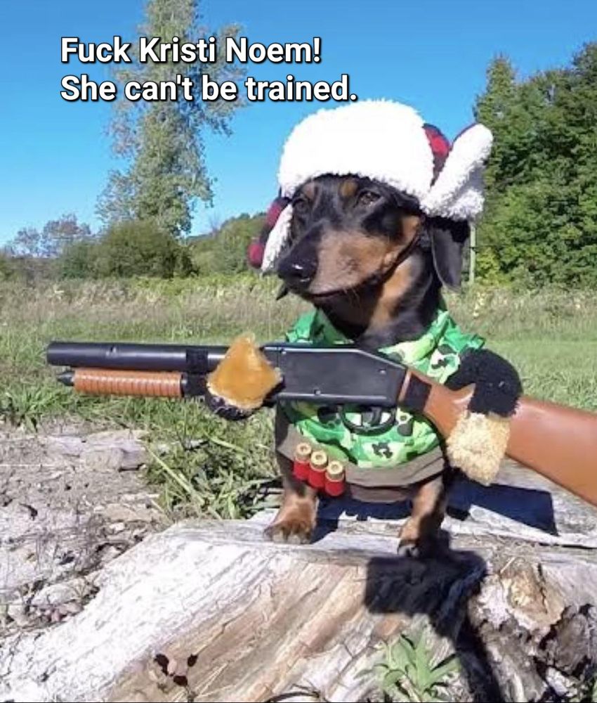 Dachshund wearing hunting gear and carrying a tiny shotgun with rounds and it says

Fuck Kristi Noem!
She can't be trained!