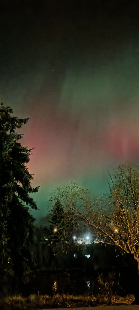 Aurora from within a city over a lake showing in a variety of greens, aquamarine,  and pink, red, and purples 