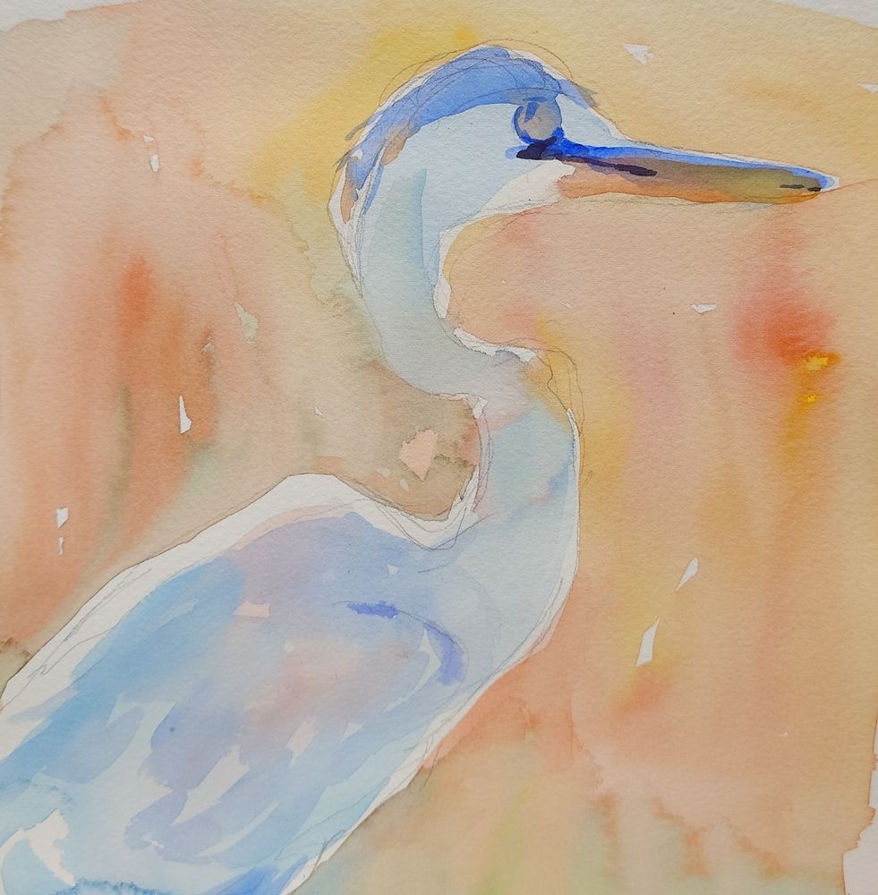 A high key painting of a blue heron. The heron is in front of a light orange background that becomes a gray green as it gets lower on the page. 