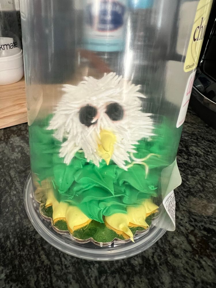 A cupcake styled to look like a Philadelphia Eagle