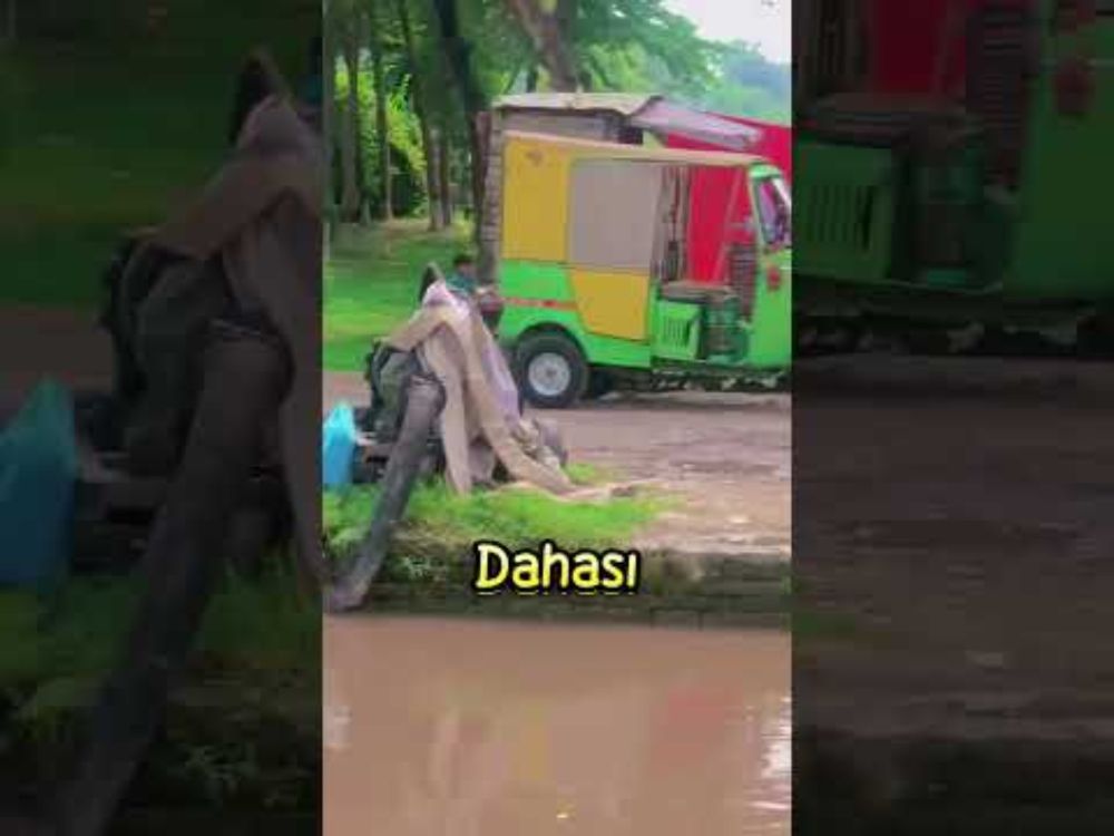 Güzellik SIRRI: Bakterili SPA❗😂 (@imran_rajput92 / TT)