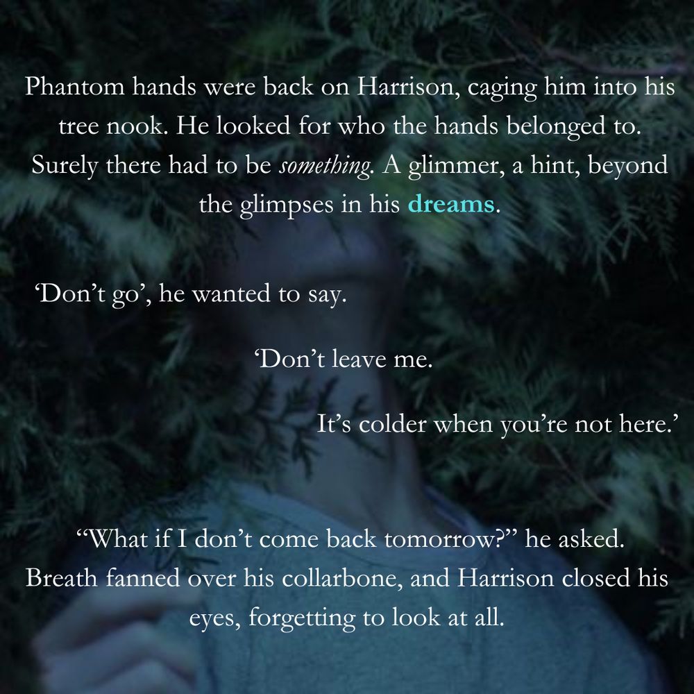 Text that reads: Phantom hands were back on Harrison, caging him into his tree nook. He looked for who the hands belonged to. Surely there had to be something. A glimmer, a hint, beyond the glimpses in his dreams. ‘Don’t go’, he wanted to say. ‘Don’t leave me. It’s colder when you’re not here.’
“What if I don’t come back tomorrow?” he asked.
Breath fanned over his collarbone, and Harrison closed his eyes, forgetting to look at all.

The text is pasted over a person among a forest background with their neck exposed, wearing a greyish sweatshirt/T-shirt 