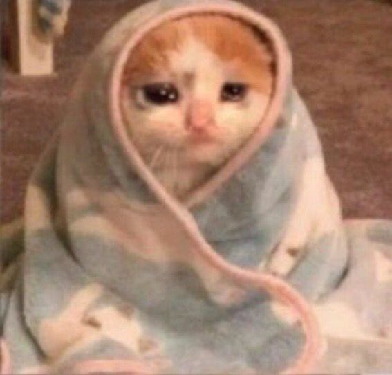 An orange and cream cat is wrapped in a pale blue blanket. It is staring with its sad-misty eyes into the distance. 