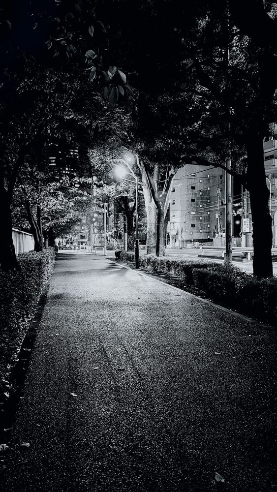 A paved path alongside a road lined with trees at night