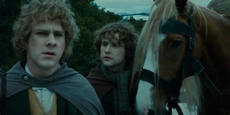 From the Lord of the Rings movies: Merry, Pippin, and Bill the Pony