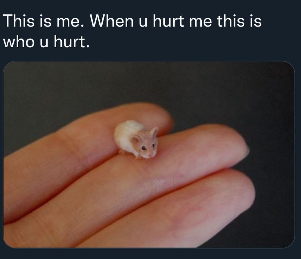 A hamster the size of a tiny edamame bean perches on someone's fingers. Caption reads: This is me. When u hurt me this who u hurt. 