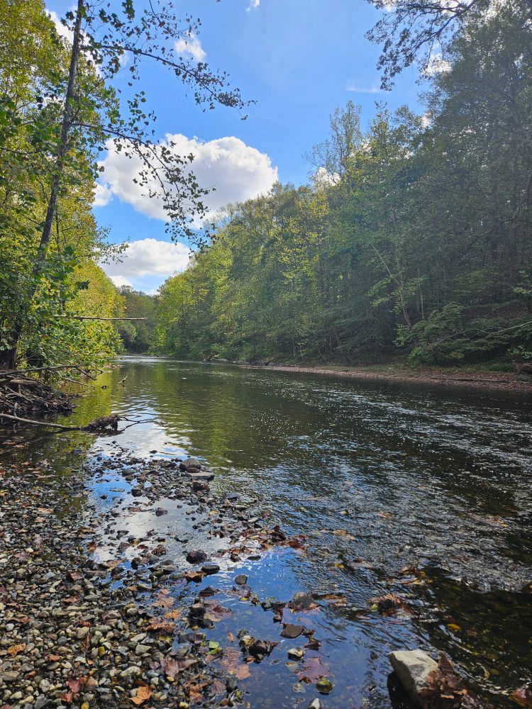 The picture is taken from the edge of a river looking down the path. Tall green tres are visible on both sides of the river past a narrow pebbled bank. A triangle of blue sky with puffy white clouds is visible between the trees. The water is dark and ripples of current are visible.