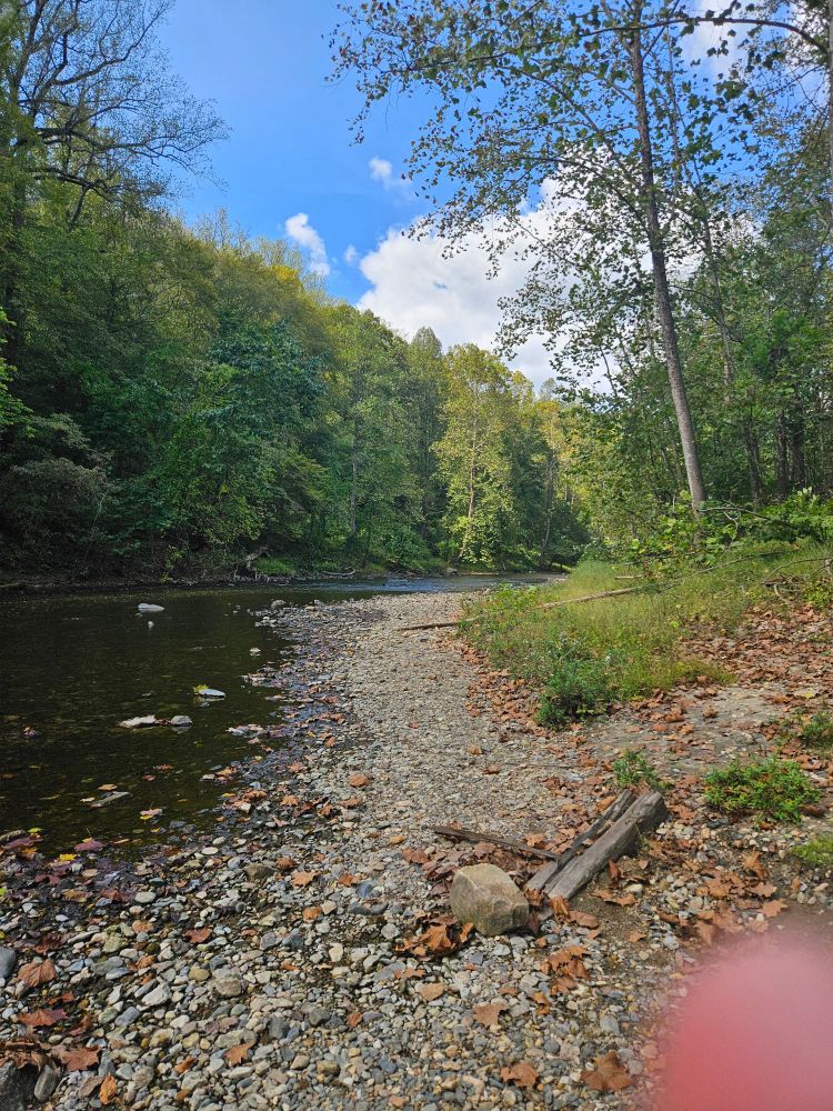 Picture of the pebbled bank and river. The green forest of the other bank are visible under a gorgeous blue sky.