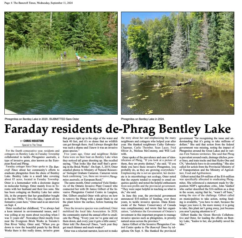 Newspaper article “Faraday residents de-Phrag Bentley Lake” 