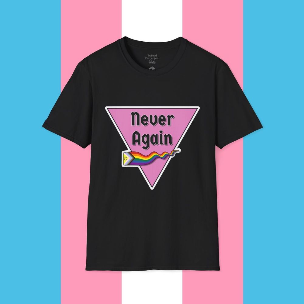 The background is the light blue, light pink and white Transgender pride flag. Overtop of it is a black Tshirt with a large pink triangle pointing down. Across the triangle are the words "Never again" and under that is a progress pride flag.
