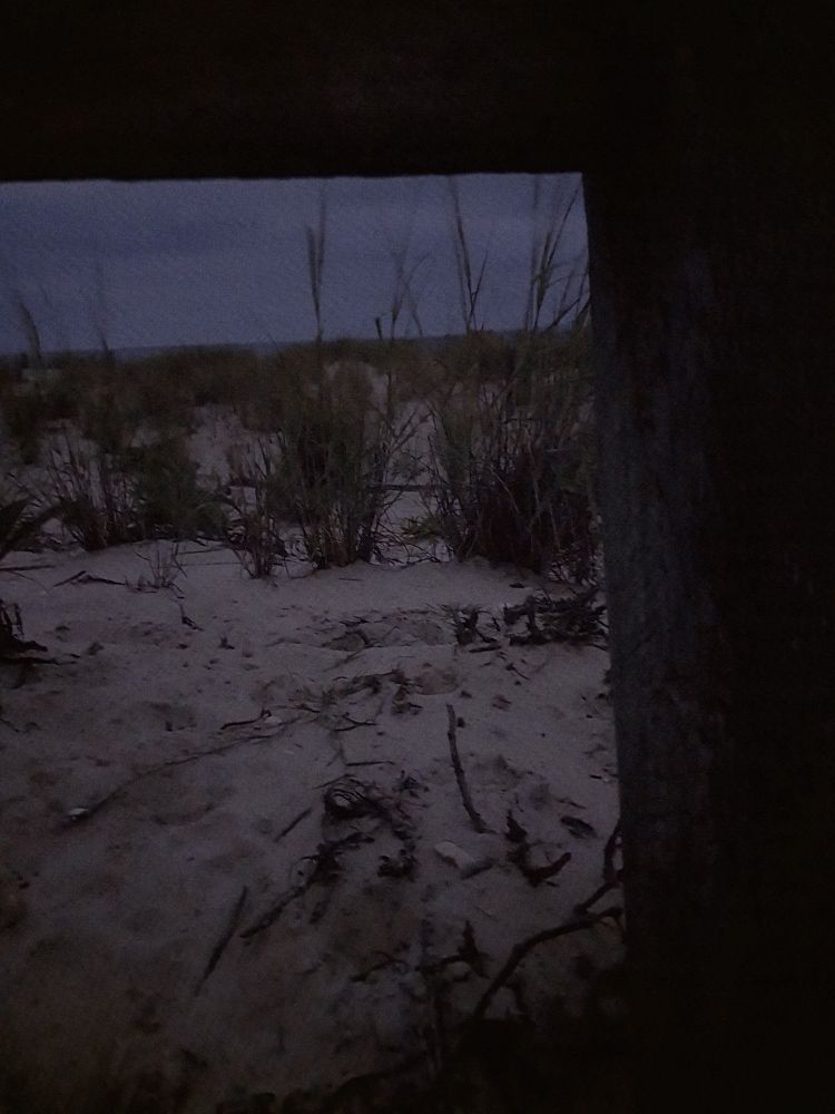 Sand dunes at early morning taken from under a split rail fence