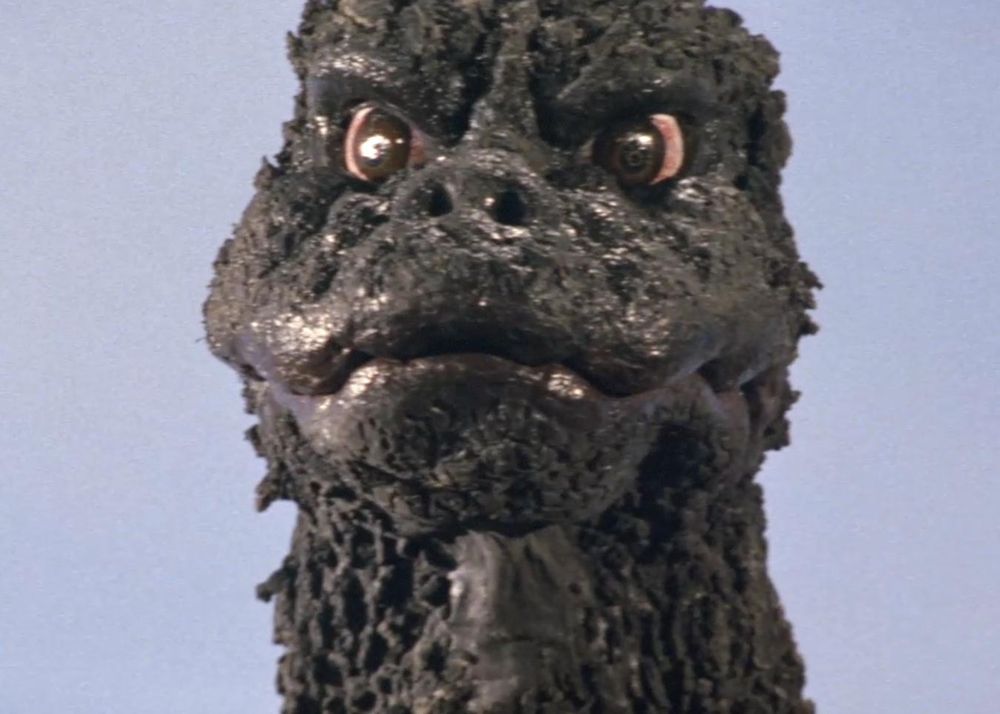 Godzilla, staring ahead ready to take on whatever the world throws at him. I love you godzilla