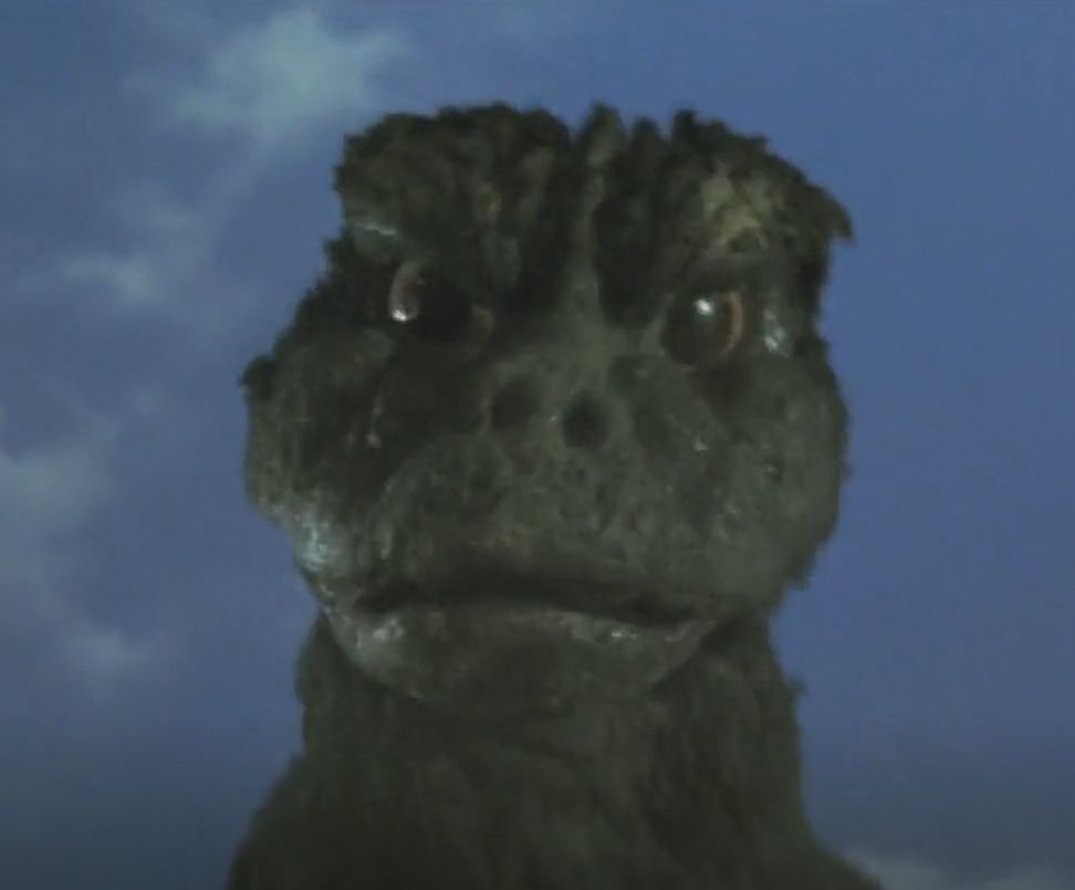 Godzilla stares at the camera with glistening eyes