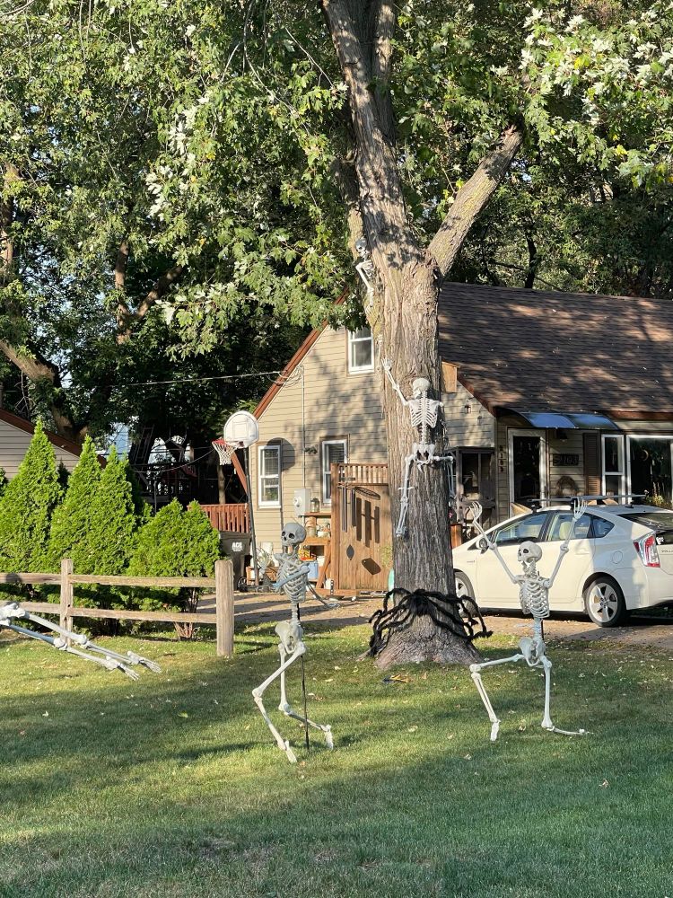 Image of a yard with skeletons playing and climbing a tree there is also a giant fake spider climbing the tree underneath one of the two skeletons