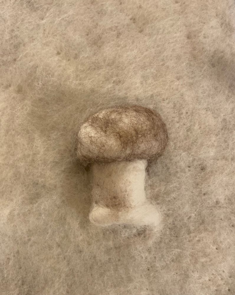 Felted mushroom, wool