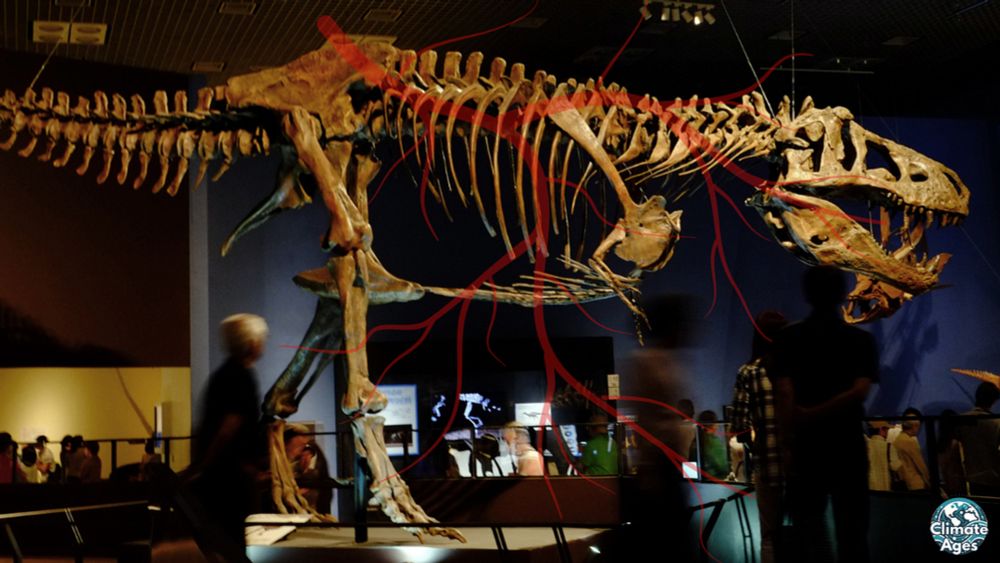 Scientists used powerful X-rays to uncover blood vessels in a T. rex fossil, changing what we know about recovery and preservation When most people picture...
