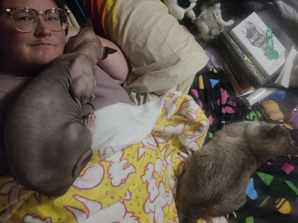 A sphinx and a cream tabby cat
The sphinx is on my chest, the tabby to the side on a blanket. My face is in the corner, smirking at the camera 