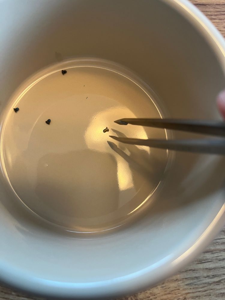 Super duper tiny screws.