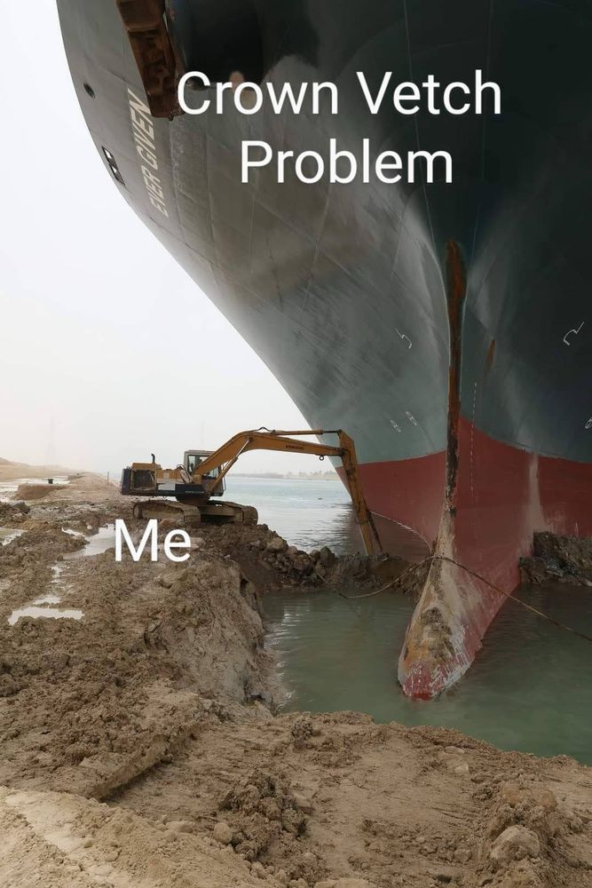 Meme showing small excavator attempting to dislodge a very large stranded cargo ship. The excavator is label “Me”, the ship is labeled “Crown Vetch Problem”.