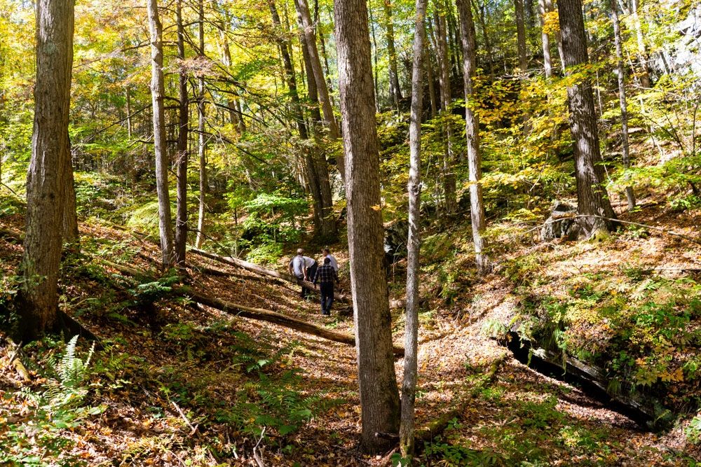 The land features forests and wetlands
