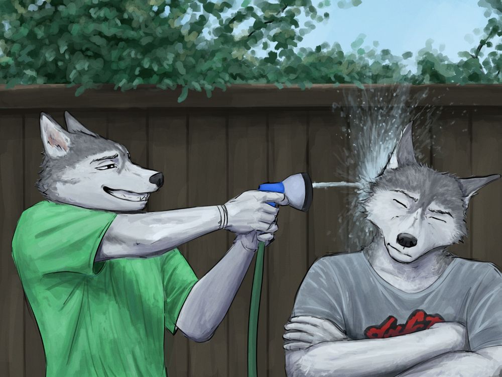 digital painting of two anthropomorphic husky characters, owen and jake on the left and right respectively. owen is holding up a garden hose nozzle like a pistol and blasting jake in the side of the head with water, while he sits with his arms crossed. owen has a shameless, cheery expression. jake is unamused. owen is wearing a light green t-shirt, while jake is wearing a soaked grey "daft punk" shirt (logo partially covered due to aforementioned crossed-arms). in the background is a large wooden fence, with an even larger shrub on the other side, drooping slightly over the fence.