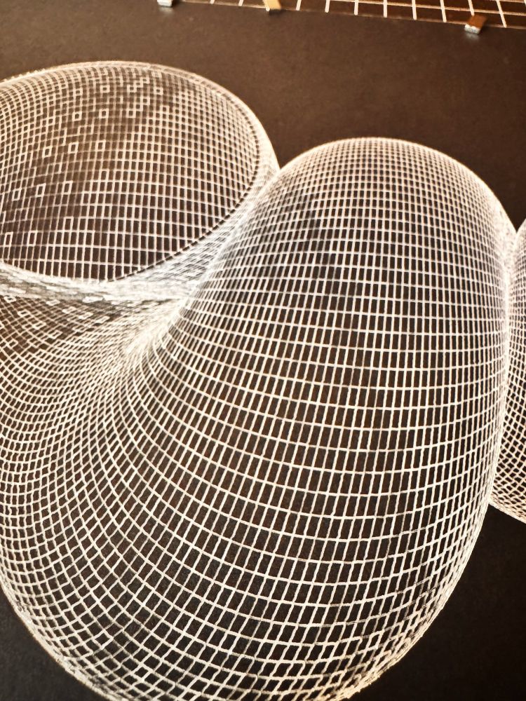 White ink wireframe drawing of a spire shell on black paper. Intricate detail. 
