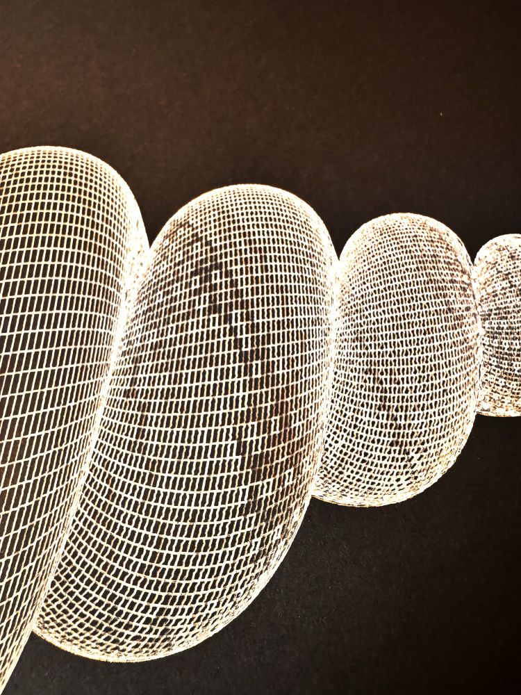 White ink wireframe drawing of a spire shell on black paper. Intricate detail. 
